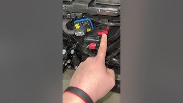 Harley Davidson Fuse Box