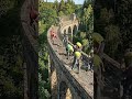 This Forgotten Railway Bridge Came Back to Life
