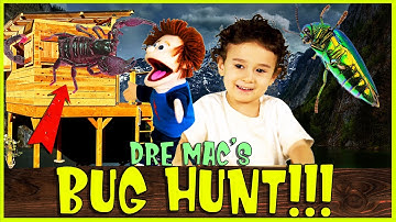 Learning bugs for kids with Silly Puppets. Learning kid videos