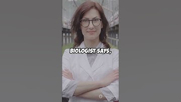 😂 Engineer, Biologist, Mathematician Joke