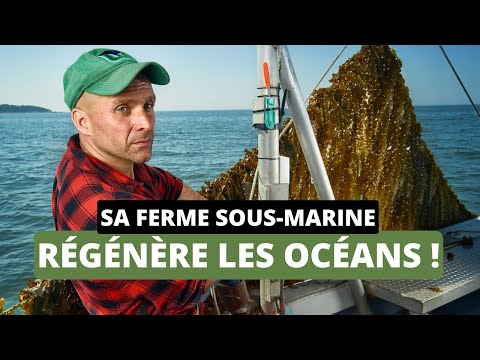 Il applique la permaculture dans l’Océan… et ça MARCHE ! 🌊🐟