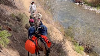 Exciting,  pack in elk hunt conclusion by Jason Rossman 1,178 views 4 months ago 22 minutes