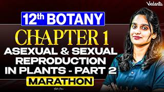 12th Botany | Chapter 1 Asexual and Sexual Reproduction in Plants Part 2 | Asha Ma'am
