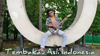 Tembakau Asli Indonesia| Indonesian original tobacco ✌Lagu ciptaan Irwan raslion