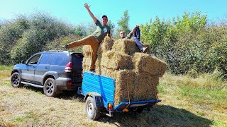 З поля дешевше брати, які ціни? прийшлось дві ходки робити  прицеп трішіть а ми грибем...