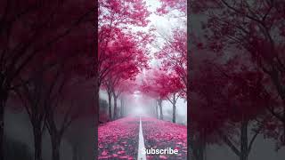 Rain carries unspoken emotions #meditationmusic #relaxationmusic #relaxingmusic #meditation