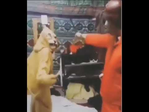 عشان انا حته تقيله في البلد بيلقبوني باسم الاسد