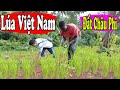 Cây Lúa Việt Nam trên đất Châu Phi||2Q Vlogs Cuộc Sống Châu Phi