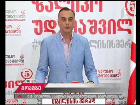 ზაალ უდუმაშვილის საარჩევნო შტაბს გრიგოლ ვაშაძე უხელმძღვანელებს