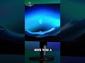 These 4K Curved Monitors Are Insane #gamingsetup #monitors BMW