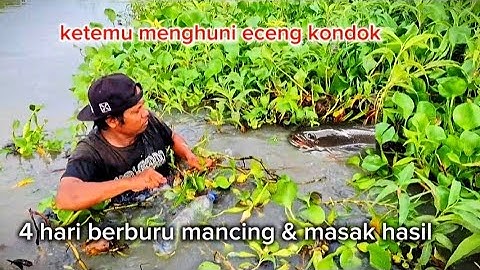 4 HARI BERBURU MANCING IKAN NILA DAN IKAN GABUS MASAK DAN MENIKMATI HASIL DI DANAU TEMPE