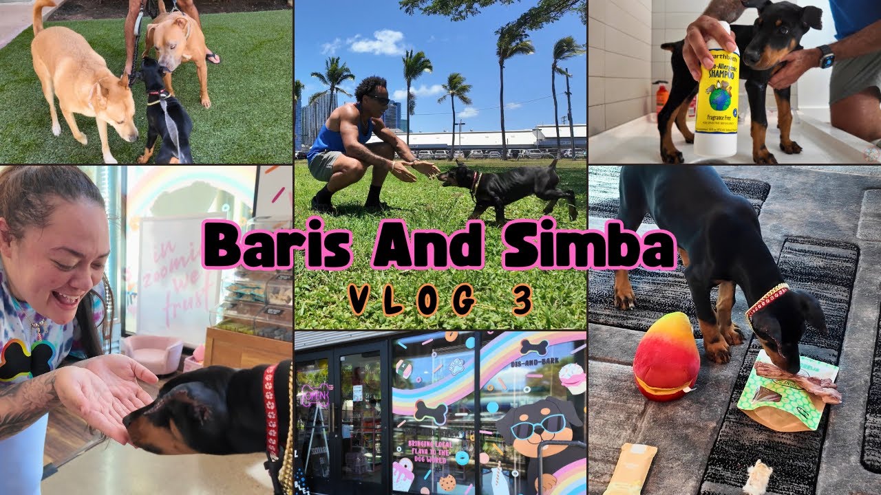 Baris&Simba 🧑🏽‍🦱🐶 | VLOG 3 | Dis-And-Bark Party Invite, Park Playtime, Treat Review, and MORE!!! 😁