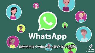 #WhatsApp账号购买 #whatsapp 劫持号 #whatsapp 协议号 飞机✈️：wshs99