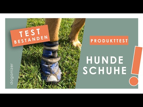 Video: Unterschied Zwischen Ganzen Größen In Rocket Hundeschuhen