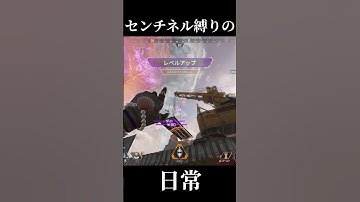【APEX】センチネルに縛られてる奴【まめんぬ】