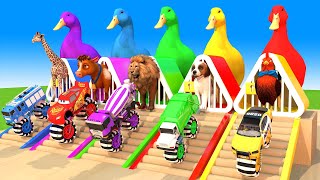 Long Slide Game With Duck, Cow, Chicken, Dog, Giraffe, Lion - 3d Animal Game