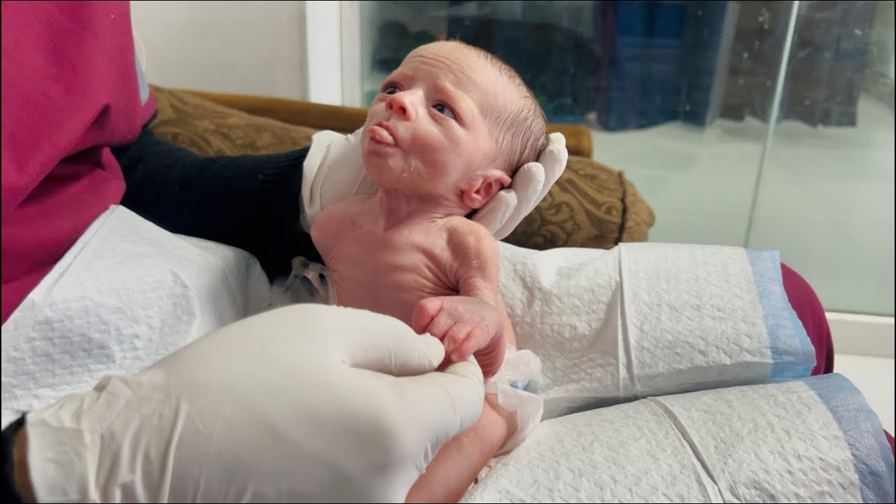 Обновление за 6-й день: Состояние крошечного новорожденного стабильное 🍼 Нежные объятия и кормлен...