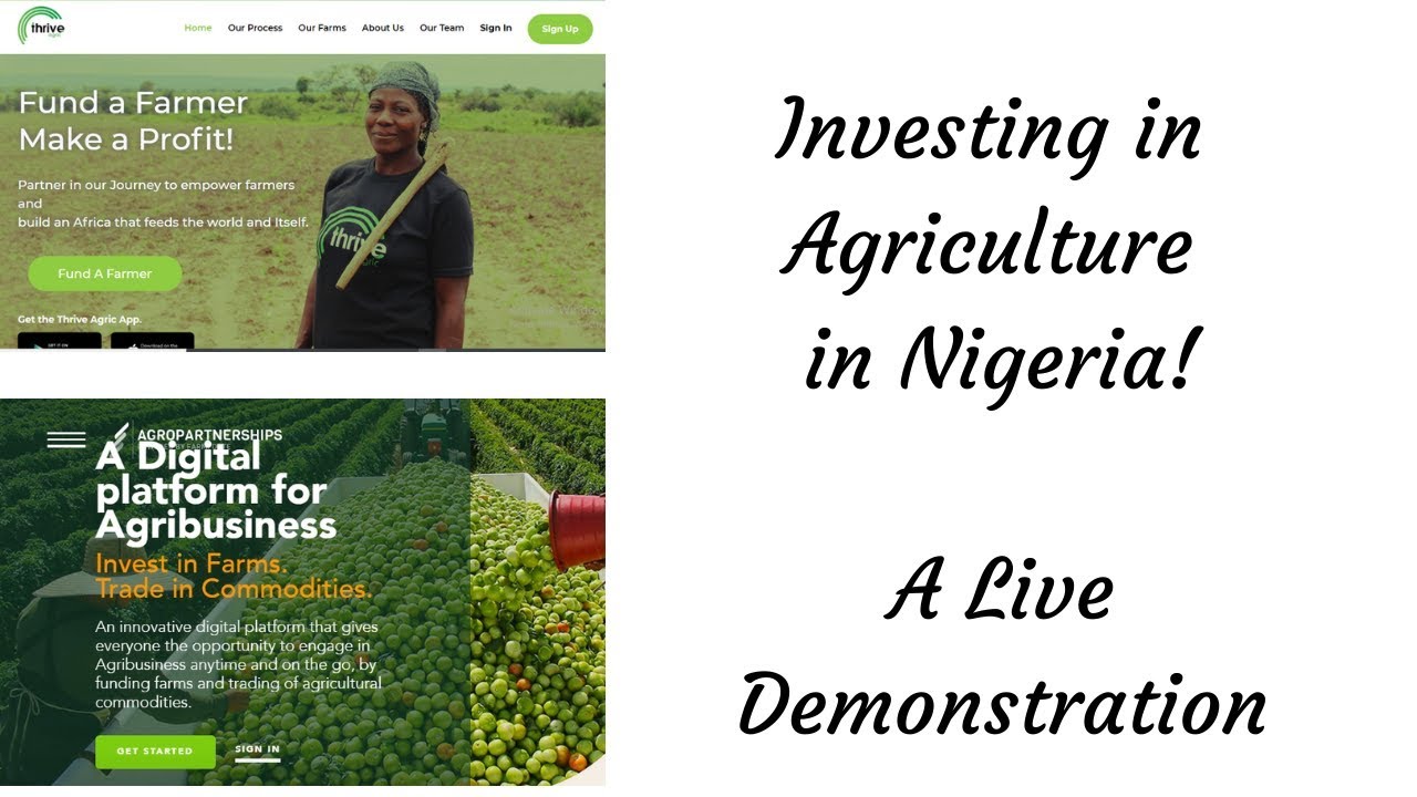 HOW TO INVEST IN AGRICULTURE IN NIGERIA | LIVE DEMO