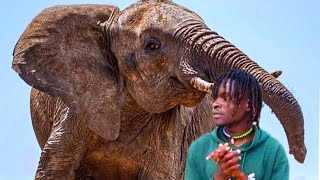 PUTO DJONA MULUNGU WANDIWONA_(OFICIAL MÚSICA AODIO)