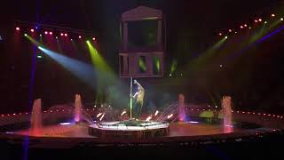 Vertical Pole Acrobatics Circus Act Variety Performance Entertainment