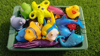 sea animals Fun Facts, sea creature, aquatic animals, fish, sharks, whales, dolphins, octopus toys