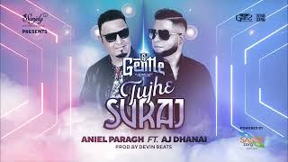 Video thumbnail of "TUJHE SURAJ || GENTLE x AJ DHANAI x ANIEL PARAGH (Audio Release)"