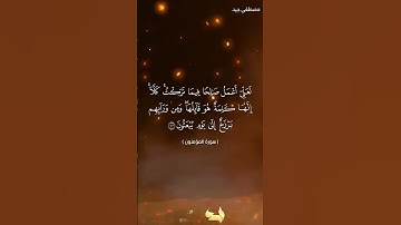 تلاوة خاشعة من سورة المؤمنون للقارئ مصطفى جيد