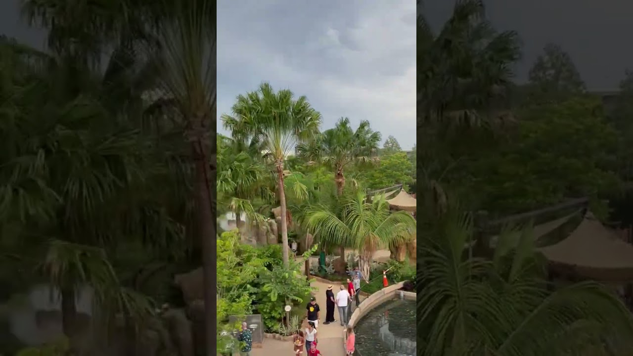 Epcot construction update! (I see jumping water!)