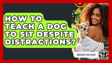How To Teach A Dog To Sit Despite Distractions? - Obedient Dog Guide