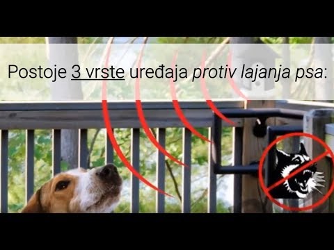 Video: Pro & Cons od lavež uređaji za pse