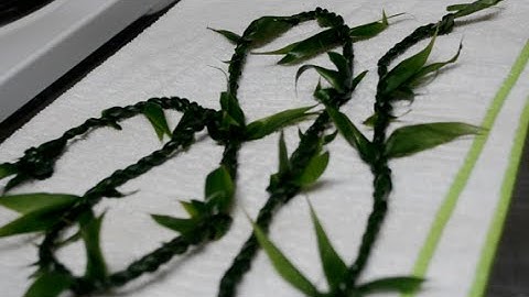 How to Make a Hawaiian Ti Leaf Lei | Super Simple Easiest Lei | Graduation Wedding Birthday