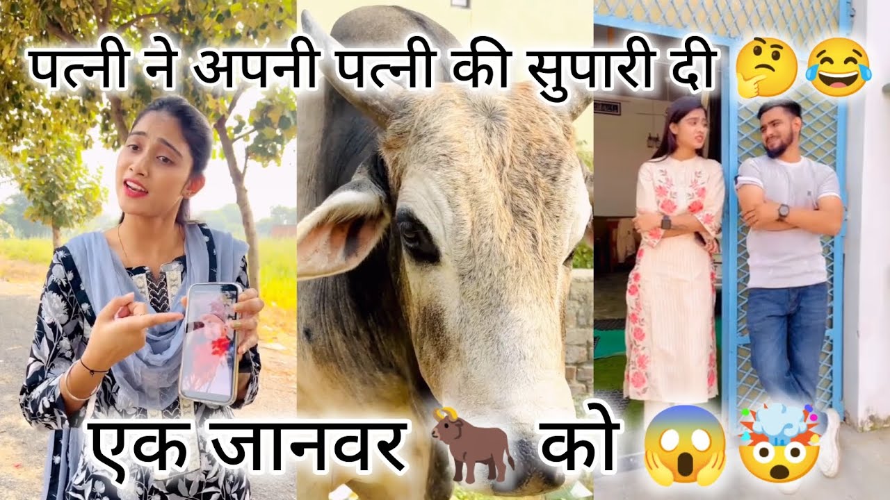 पत्नी ने अपनी पत्नी की सुपारी दी 😱🤯 #viralvideo #comedy #youtube #funyvido #viralvideo #fbrells 