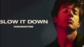 Dario wonders - slow it down ( lyrics ft . Charlie puth )