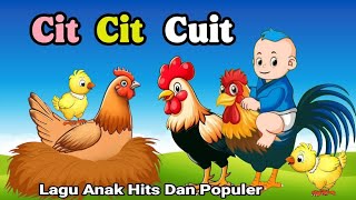 Lagu Anak Anak - Cit Cit Cuit - Aniasi Burung Ayam Bebek Lucu - Lagu Anak Populer