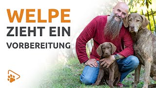 Welpe zieht ein - So gelingt der Start | wedog