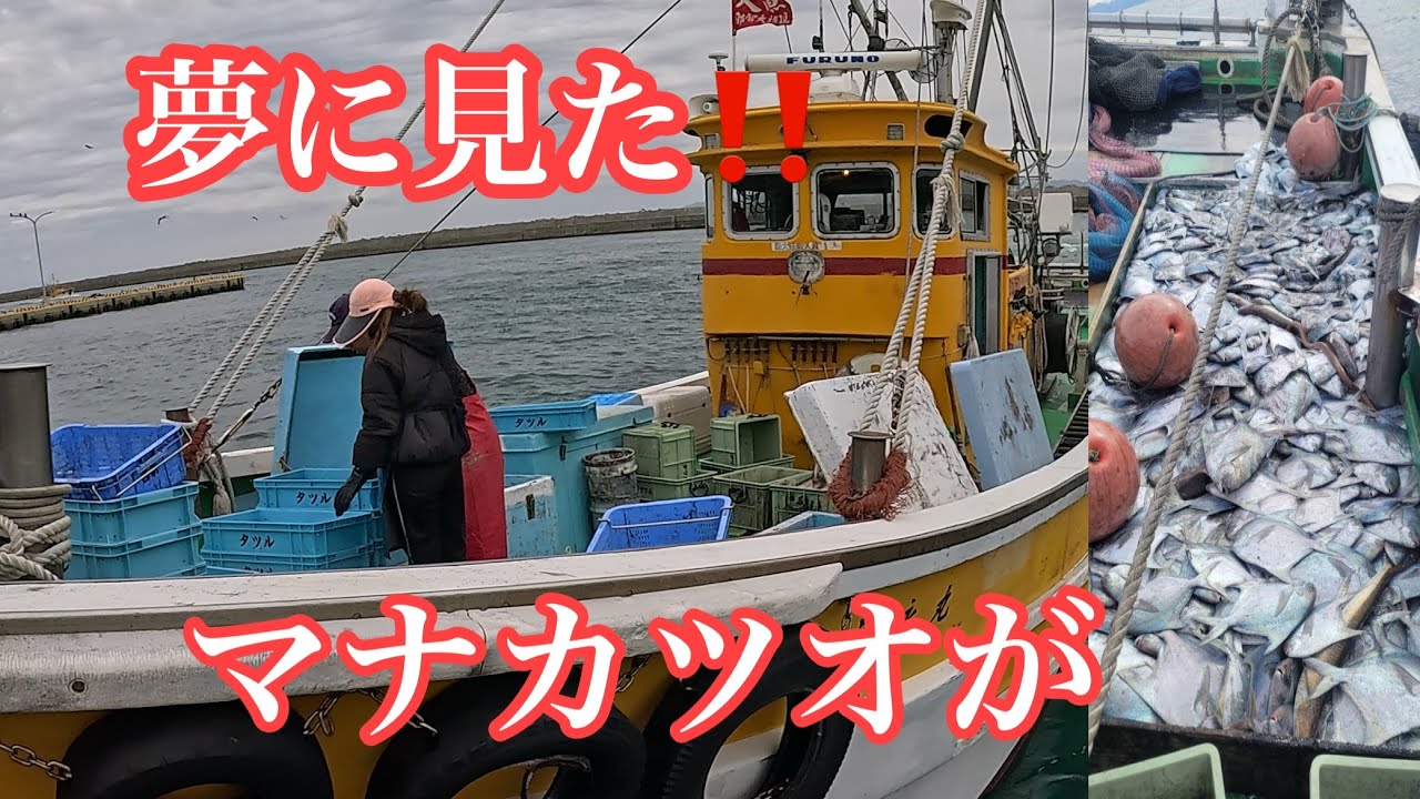 おめでとう一撃的中‼️高級魚‼️漁師人生初で大喜び‼️箕島漁港