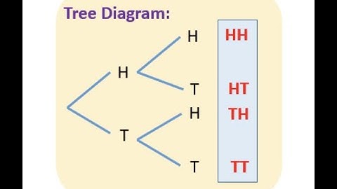 Sample Space Video 1