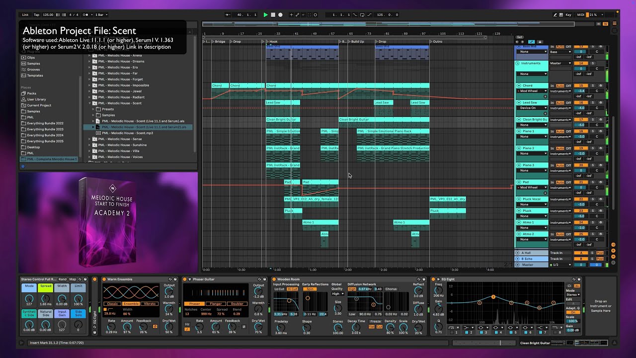 Melodic House in style of Chris Luno - Wanna Feel | Ableton & Serum | Ableton Project File download