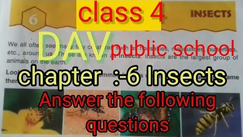 Dav  class 4 science chapter 6 Insects full solution by ranjan sir