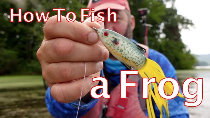 Frog Fishing For Bass - Everything You Need To Know! 