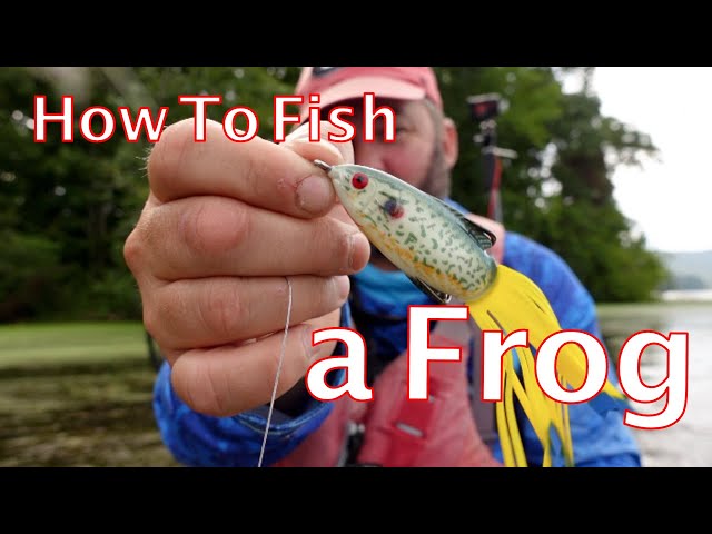 The Ultimate Guide To Topwater Frog Fishing 