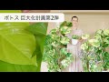 ポトス巨大化計画 第2弾