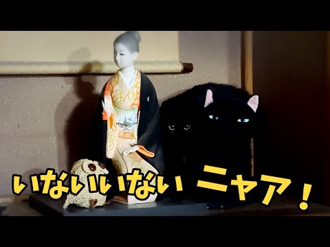 上手に隠れた猫 The Hide-and-Seek Master Cat