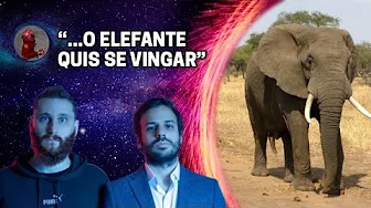 imagem do vídeo ELEFANTE SE VINGA DE IDOSA com Rosso e Varella | Planeta Podcast