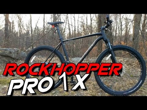 specialized rockhopper pro 2019 weight