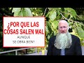 ¿Por qué las Cosas Salen Mal aunque se Obra Bien?