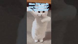 Why does my mom not believe my cat ate my homework? #cat #homework #meme