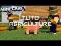 Tuto lagriculture dans minecraft