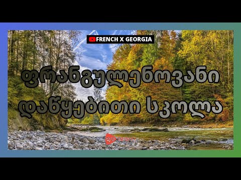 ფრანგულენოვანი დაწყებითი სკოლა|Golearn