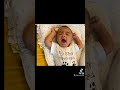 Iqra aziz baby face reveal complete shorts iqraaziz